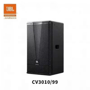 CV3010/99娱乐全频音箱